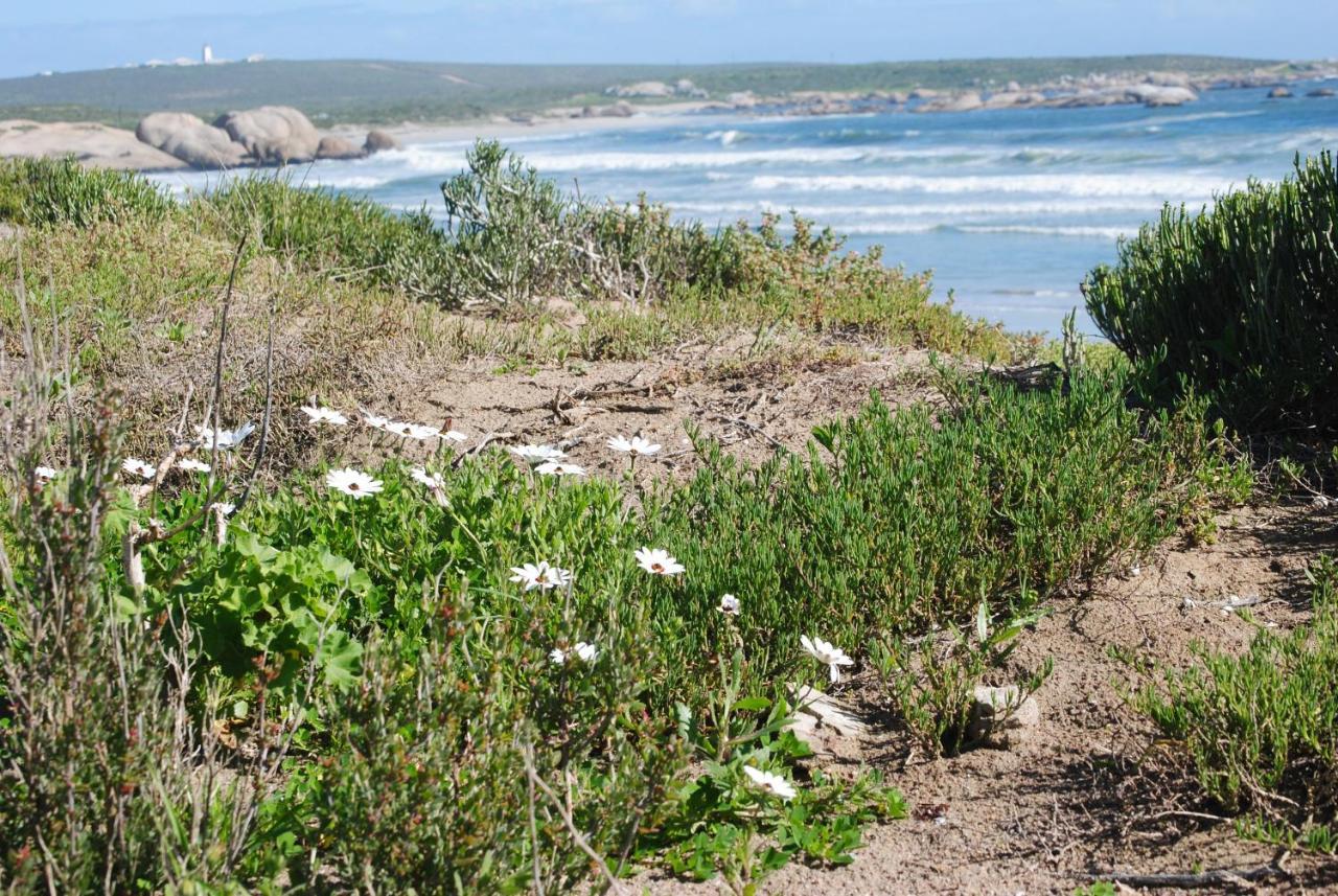 Stay At Bokkoms In Paternoster Self Catering Accommodation Dış mekan fotoğraf